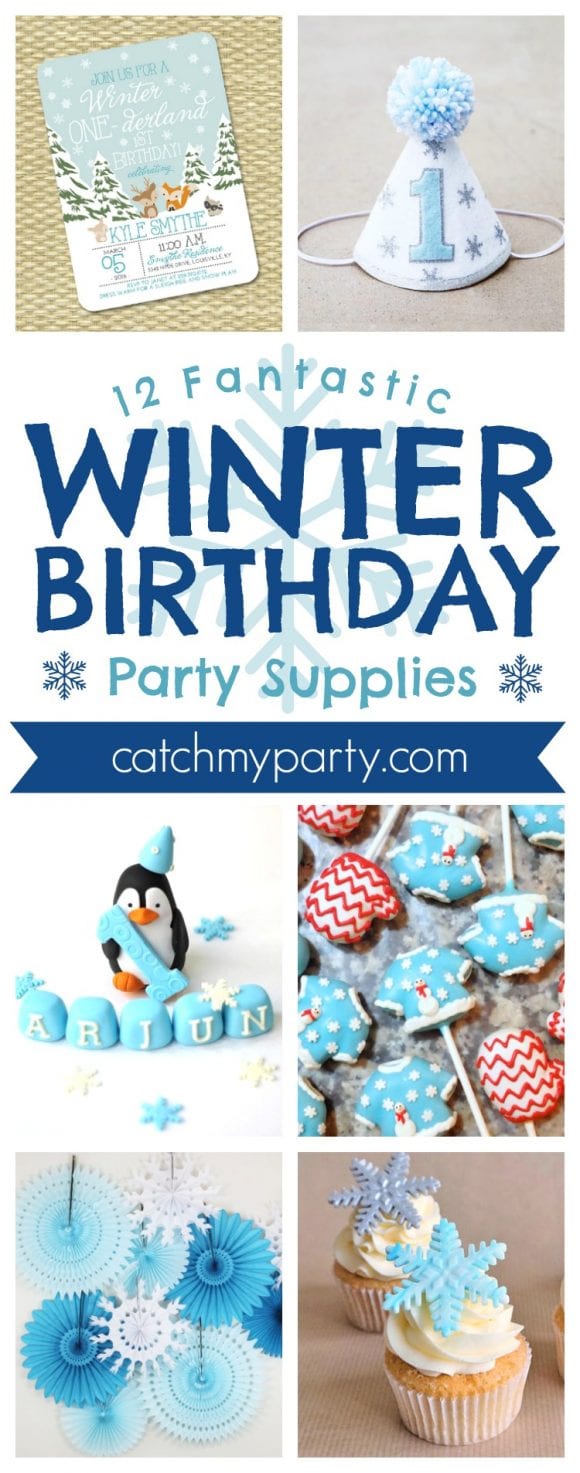 12 Fantastic Winter Birthday Party Supplies | CatchMyParty.com