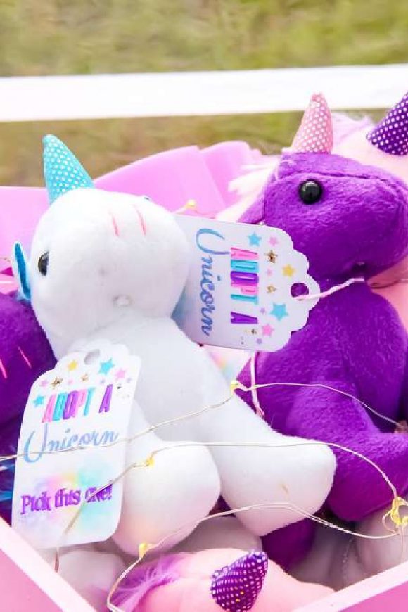 Adopt a Unicorn Party Favor