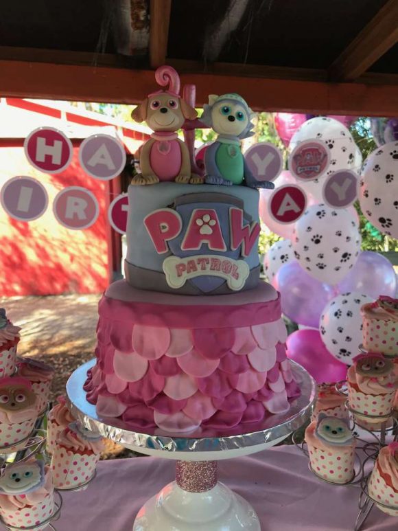 Hailey’s Pink Skye Paw Patrol Party | CatchMyParty