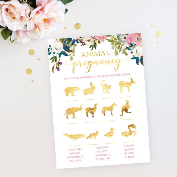 Baby shower party game supplies - Animal Pregnancy | CatchMyParty.com