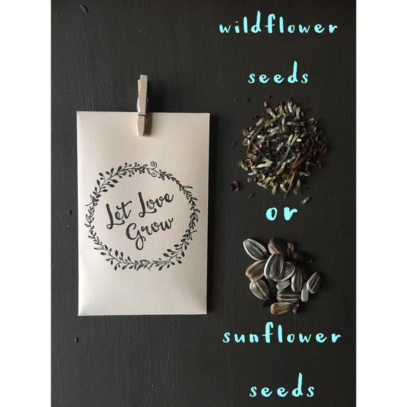 Baby Shower Party Favor - Seeds | CatchMyParty.com