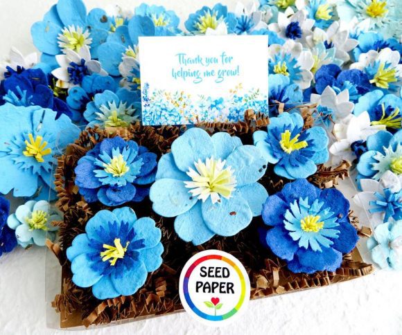 Flower Seed Boy Baby Shower Party Favor