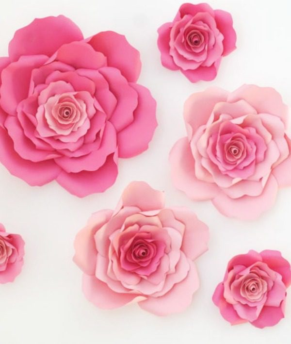 Pink Paper Flowers