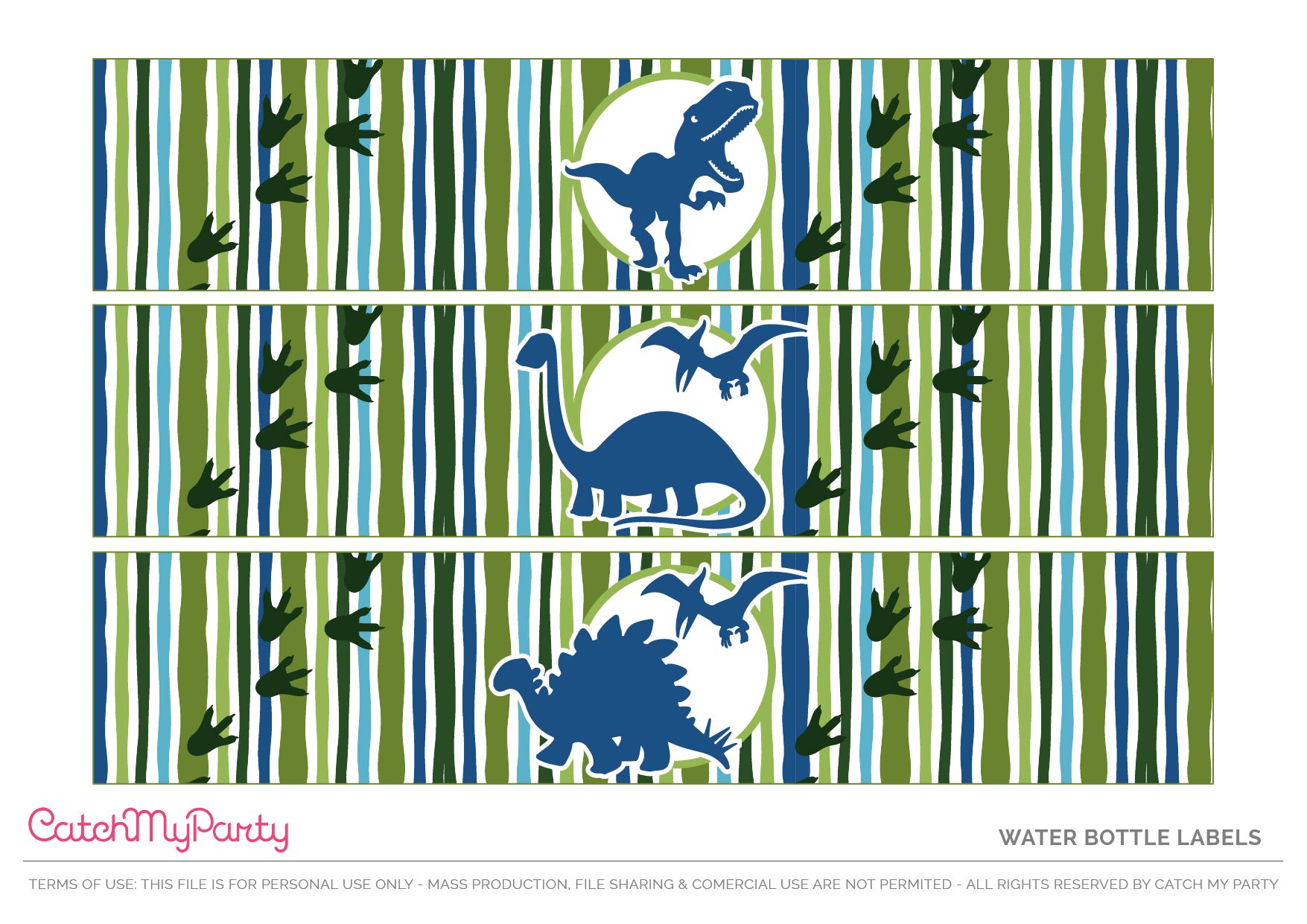 Download These Free Dinosaur Party Printables - Water Bottle Labels