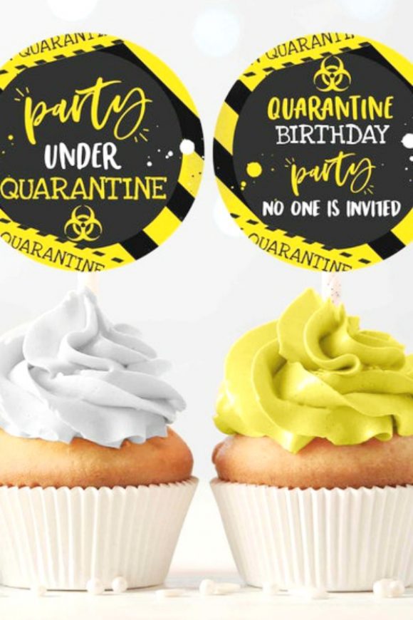 Quarantine Cupcakes