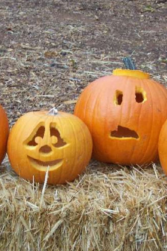 Carved Halloween Pumpkins