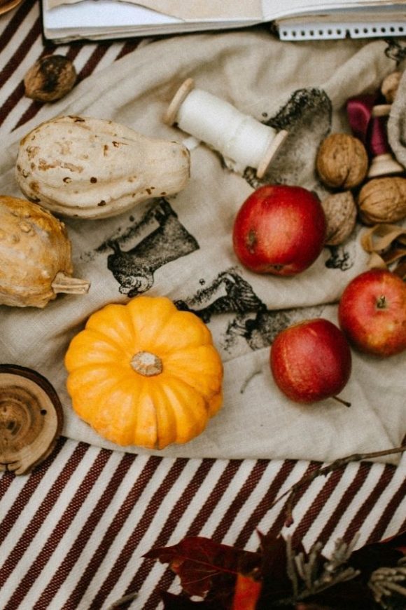 Socially Distanced Outdoor Thanksgiving Picnic