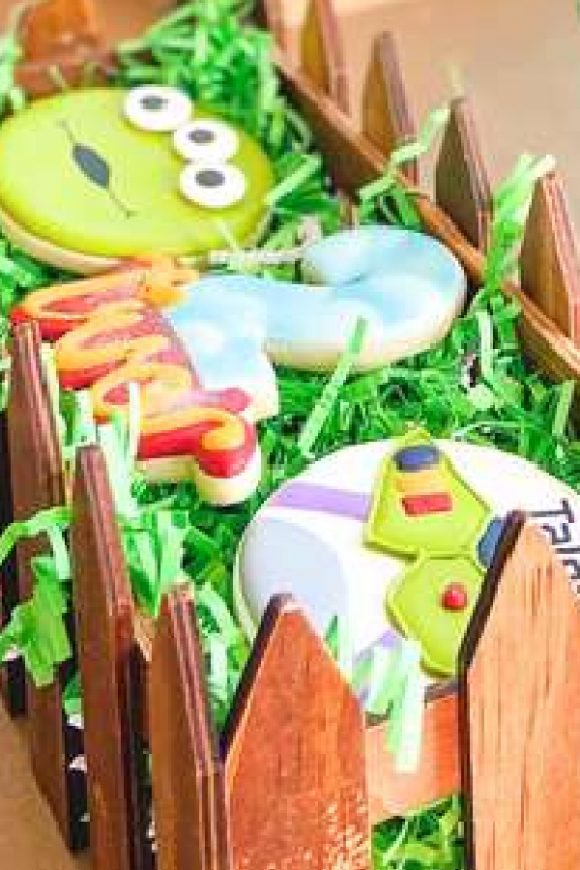 Awesome mix of Toy Story-themed cookies