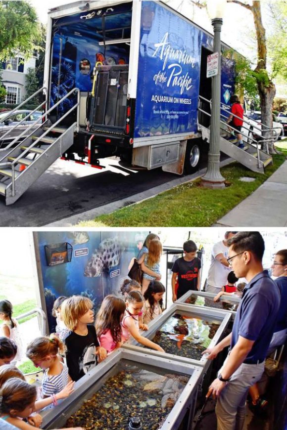 Aquarium | CatchMyParty.com Aquarium