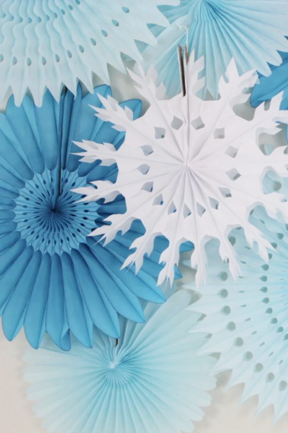Snowflake Paper Fan Backdrop