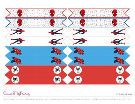 Download These Fantastic Free Spiderman Party Printables! - The Catch ...