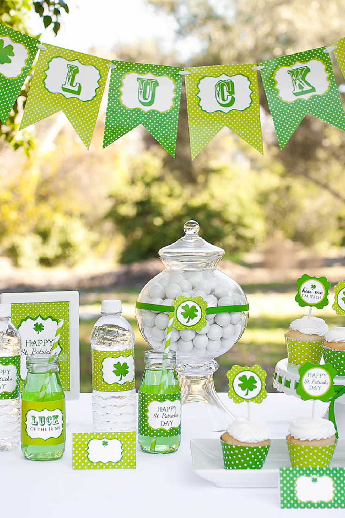 FREE “Luck of the Irish” St. Patrick’s Day Party Printables