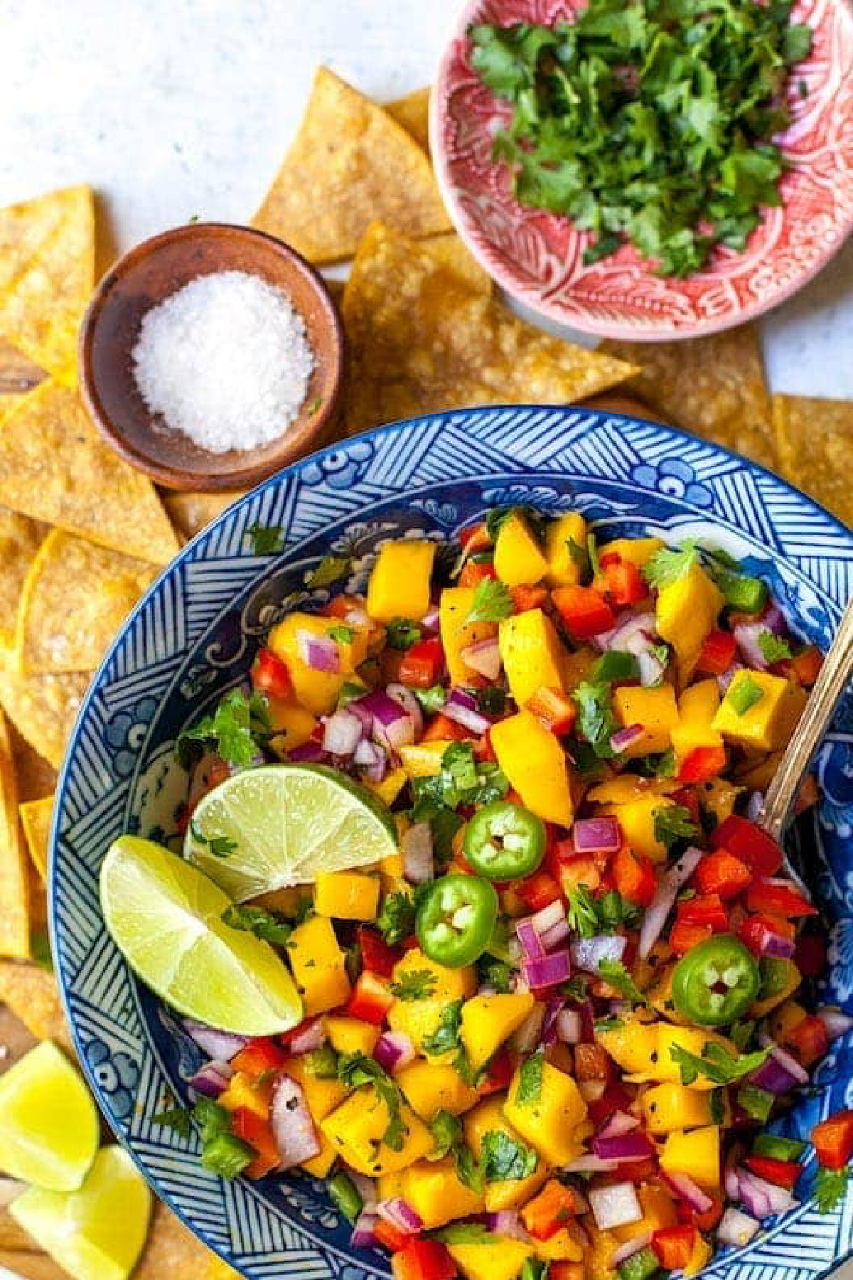 Cheap Party Food Ideas - Mango Salsa with Chips