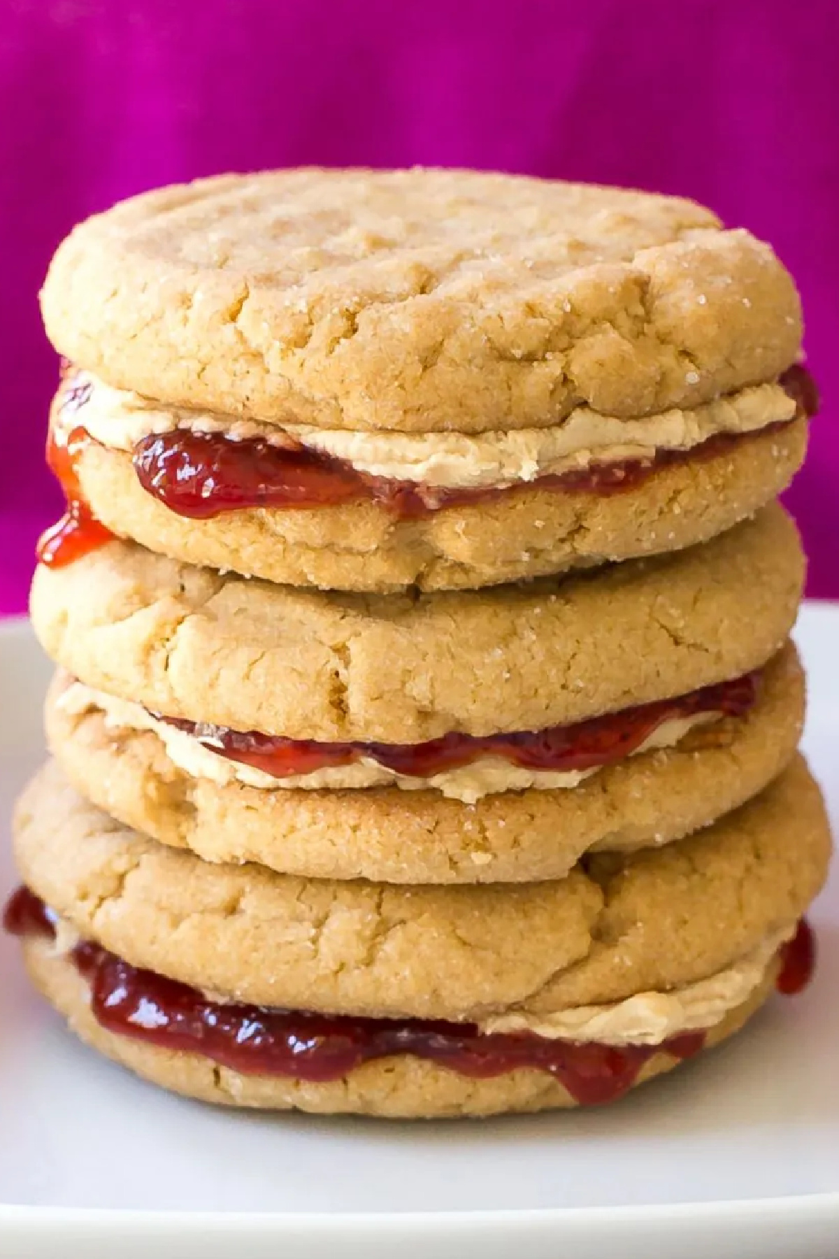 Cheap Party Food Ideas - Peanut Butter and Jelly Sandwich Cookies