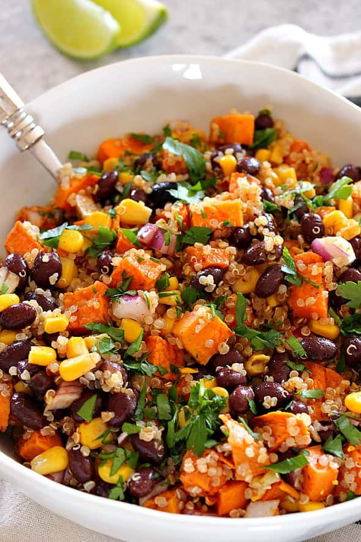 Cheap Party Food Ideas - Quinoa Salad with Veggies