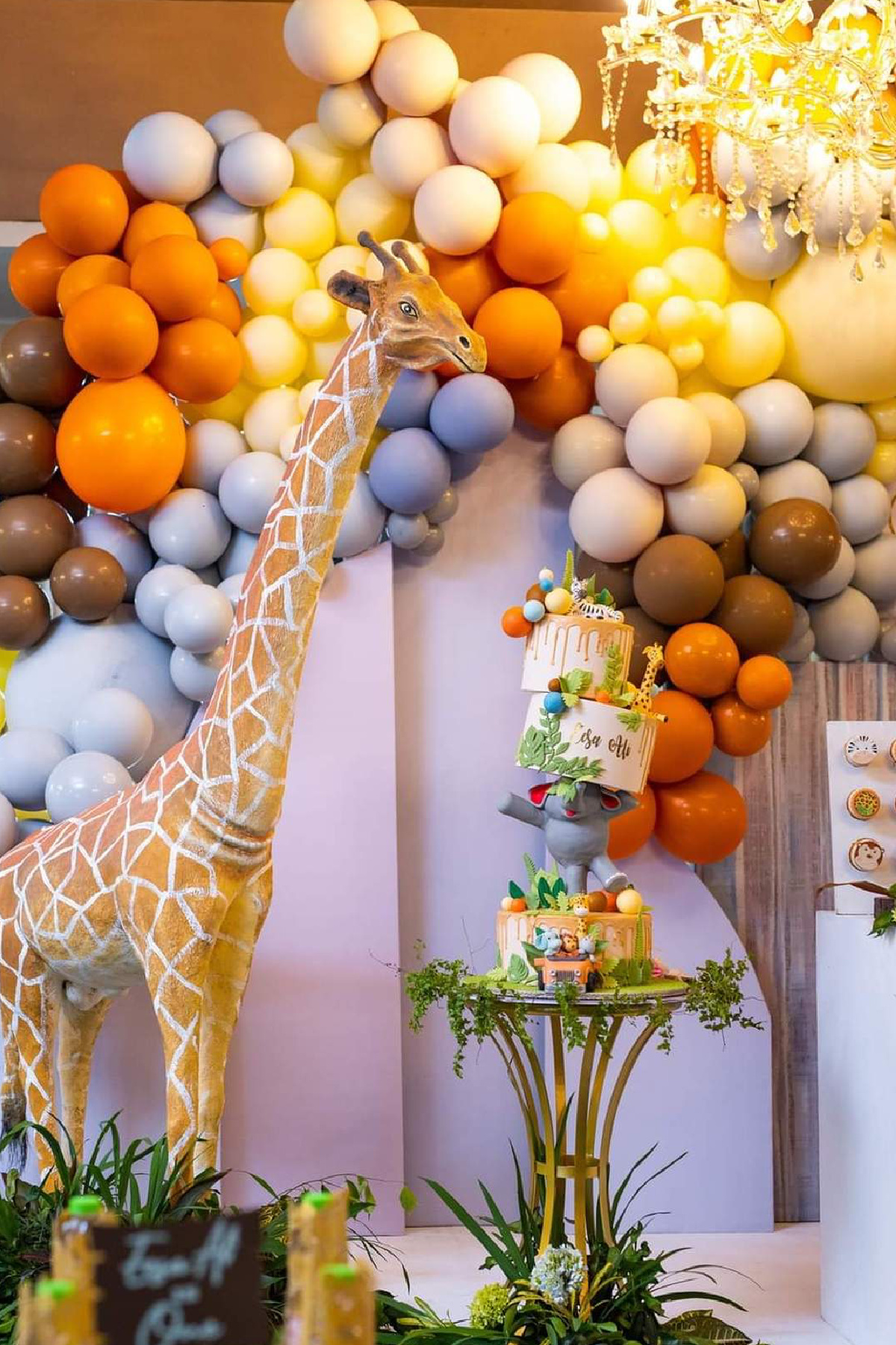 Safari birthday party 