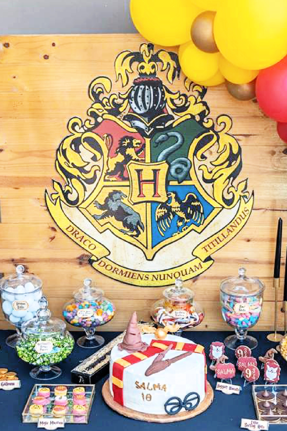 Harry Potter birthday party