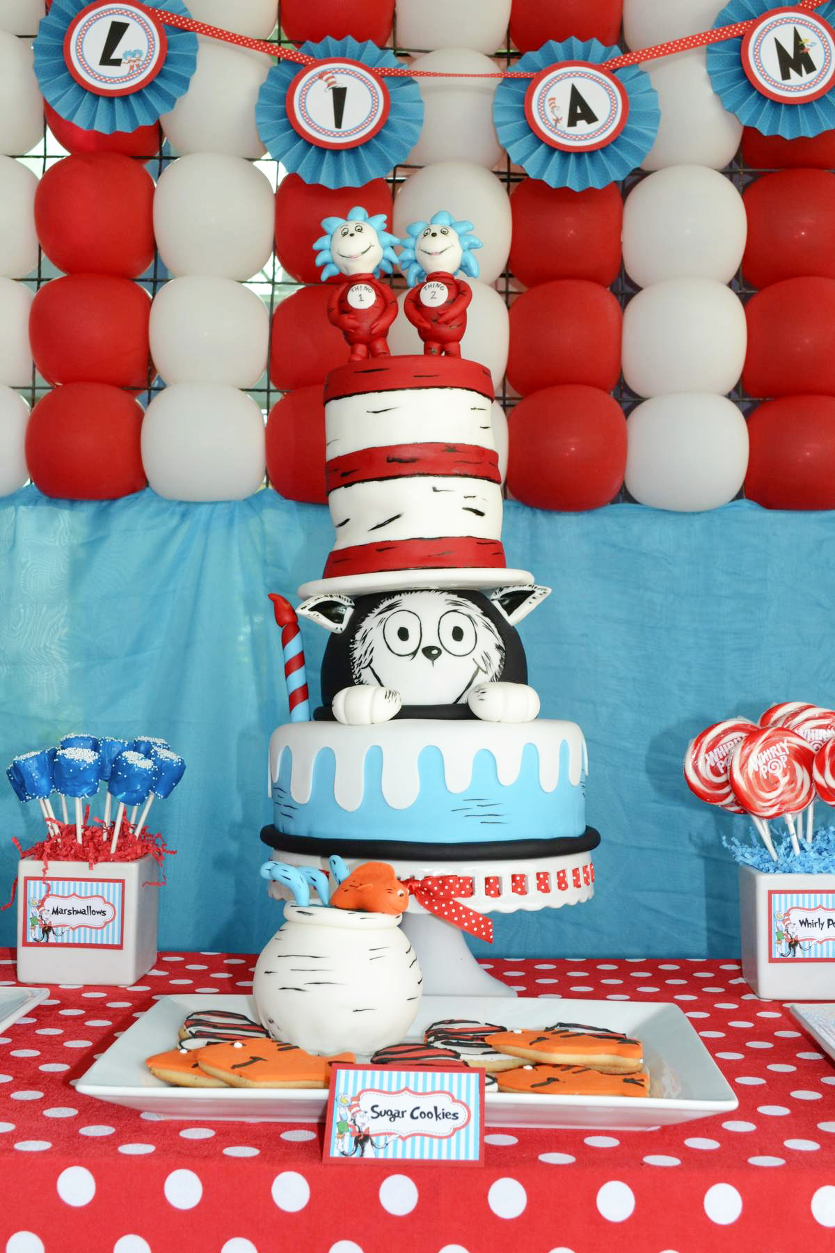 Cat in the Hat birthday party