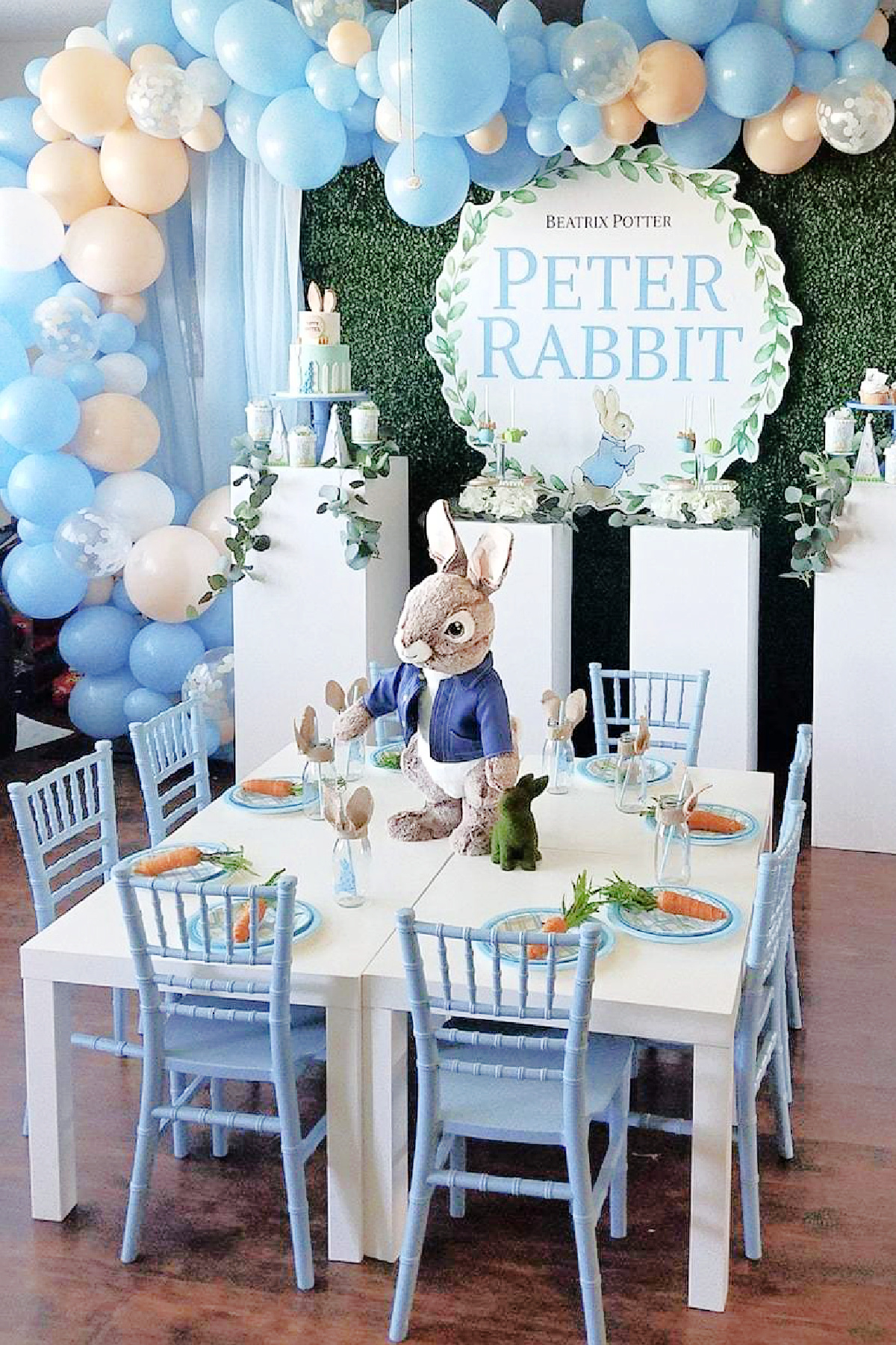 Peter Rabbit Party 