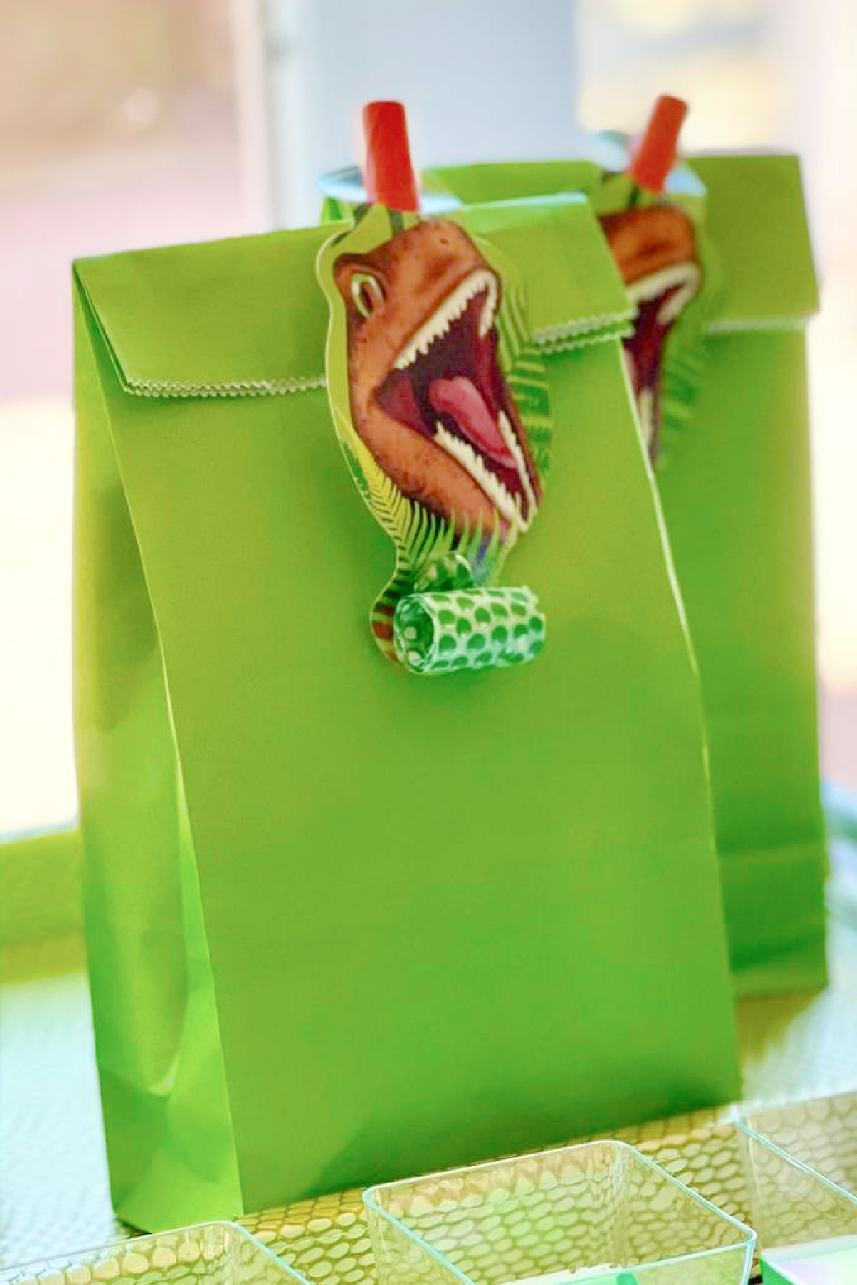 Dinosaur Party Favor Bags