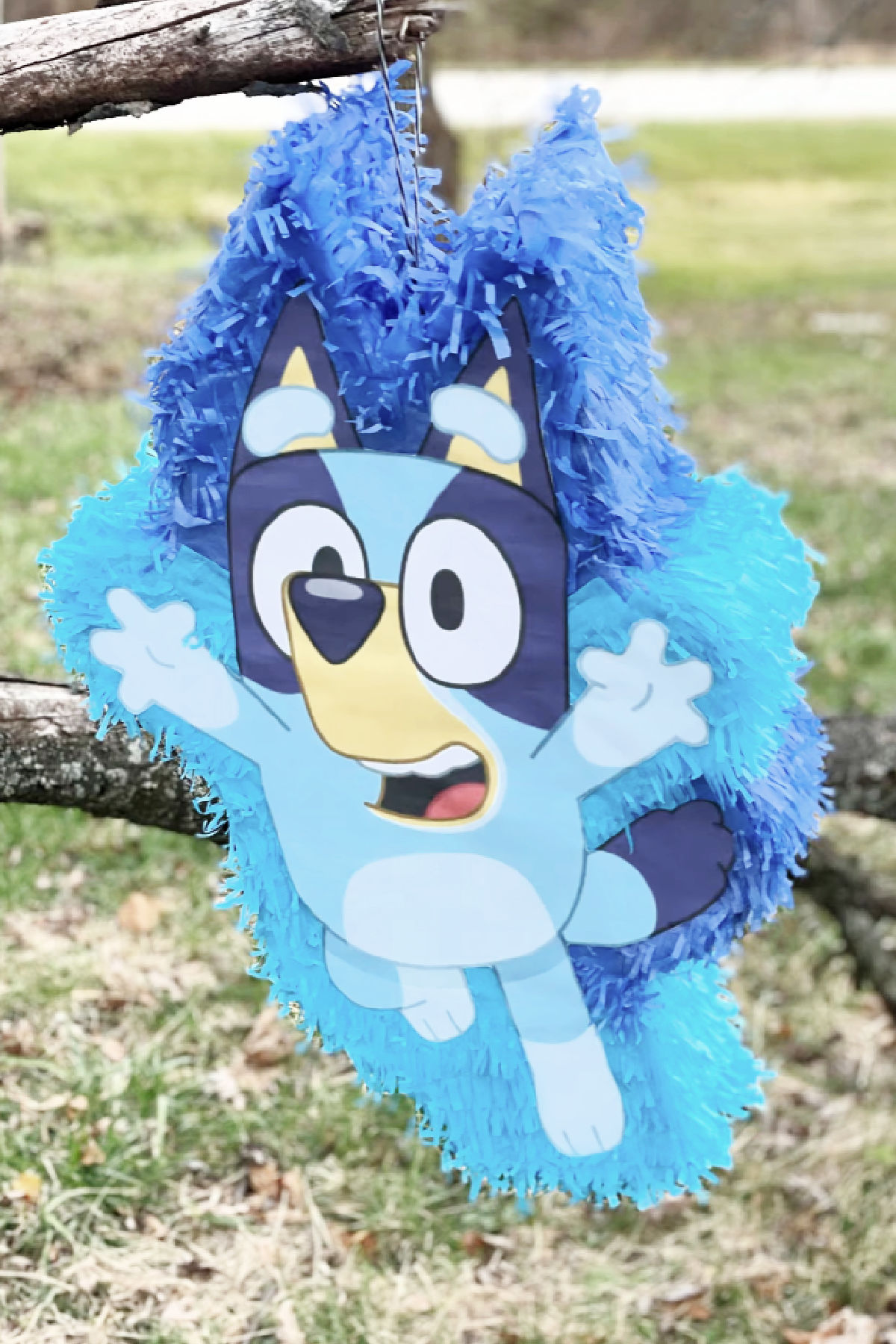 Bluey Piñata