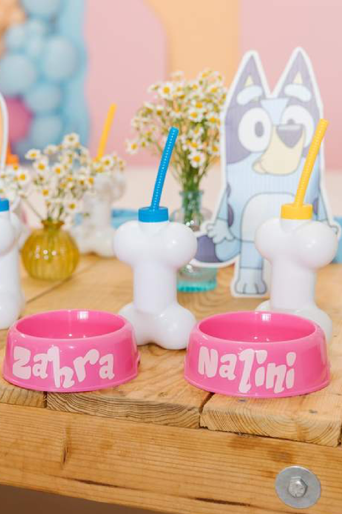 Bluey-Themed Dog Bowls and Bone-Shaped Bottles