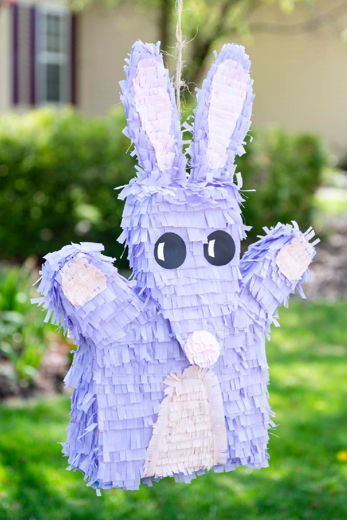 Bob Bilby Piñata