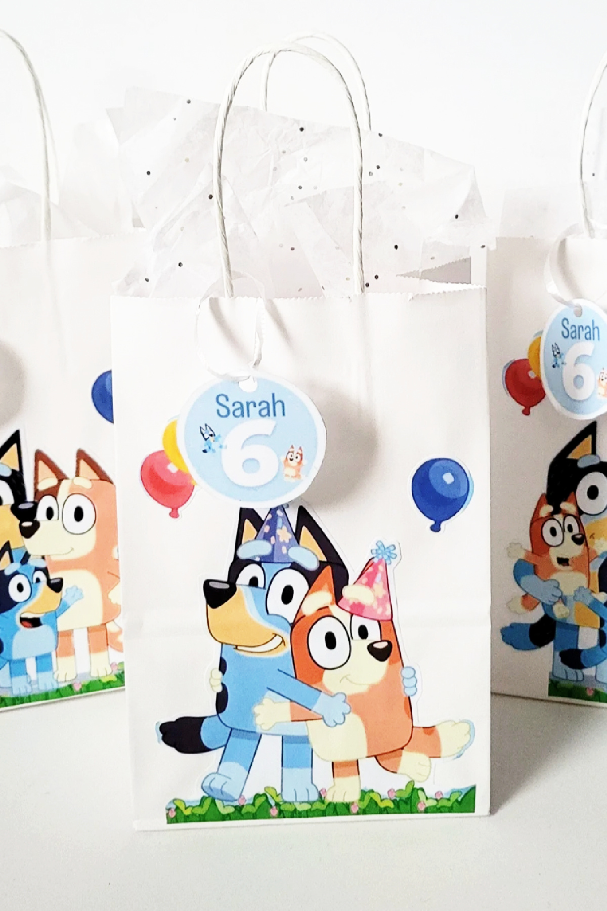 Bluey Party Favors Bags