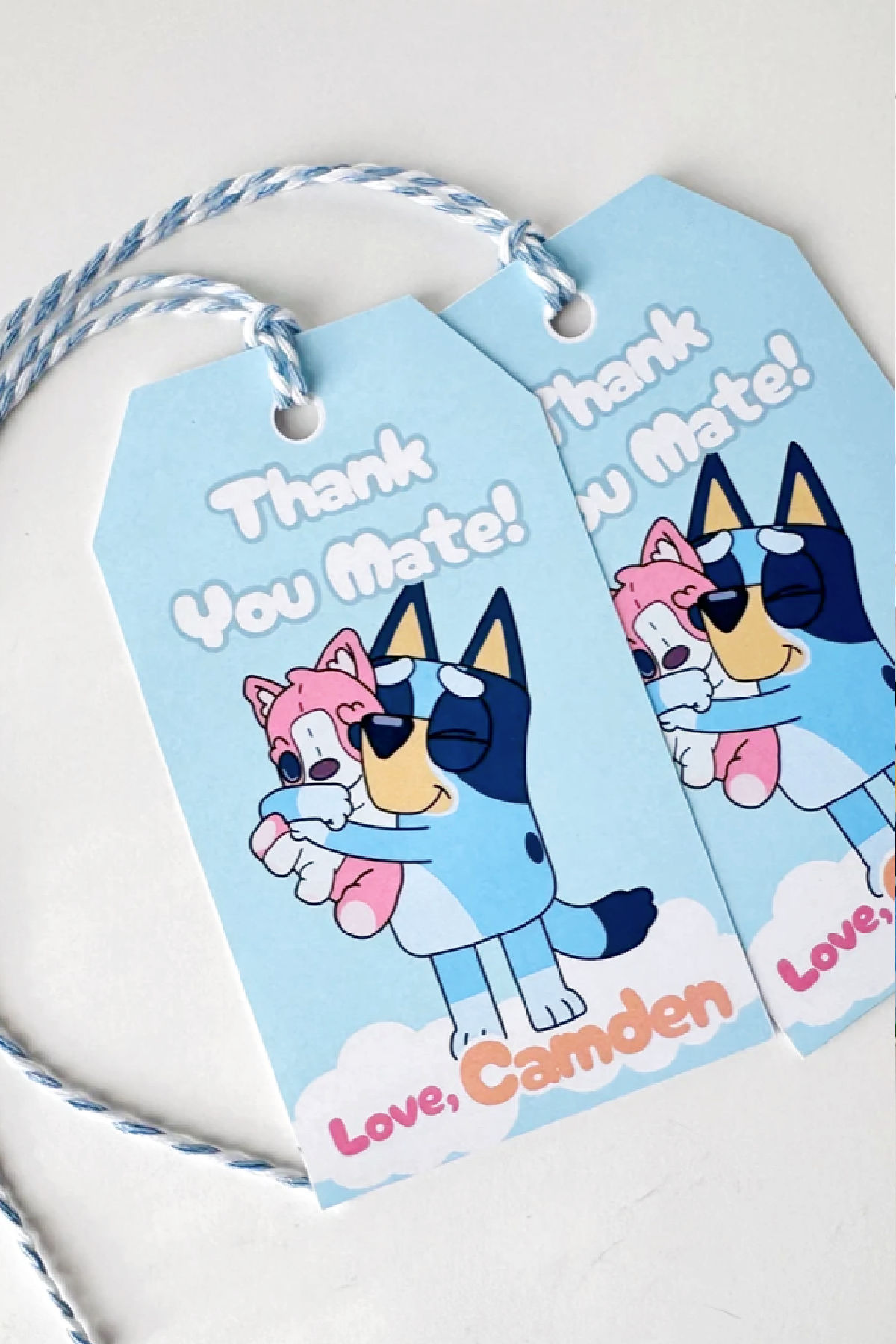 Bluey Party Favor Tags