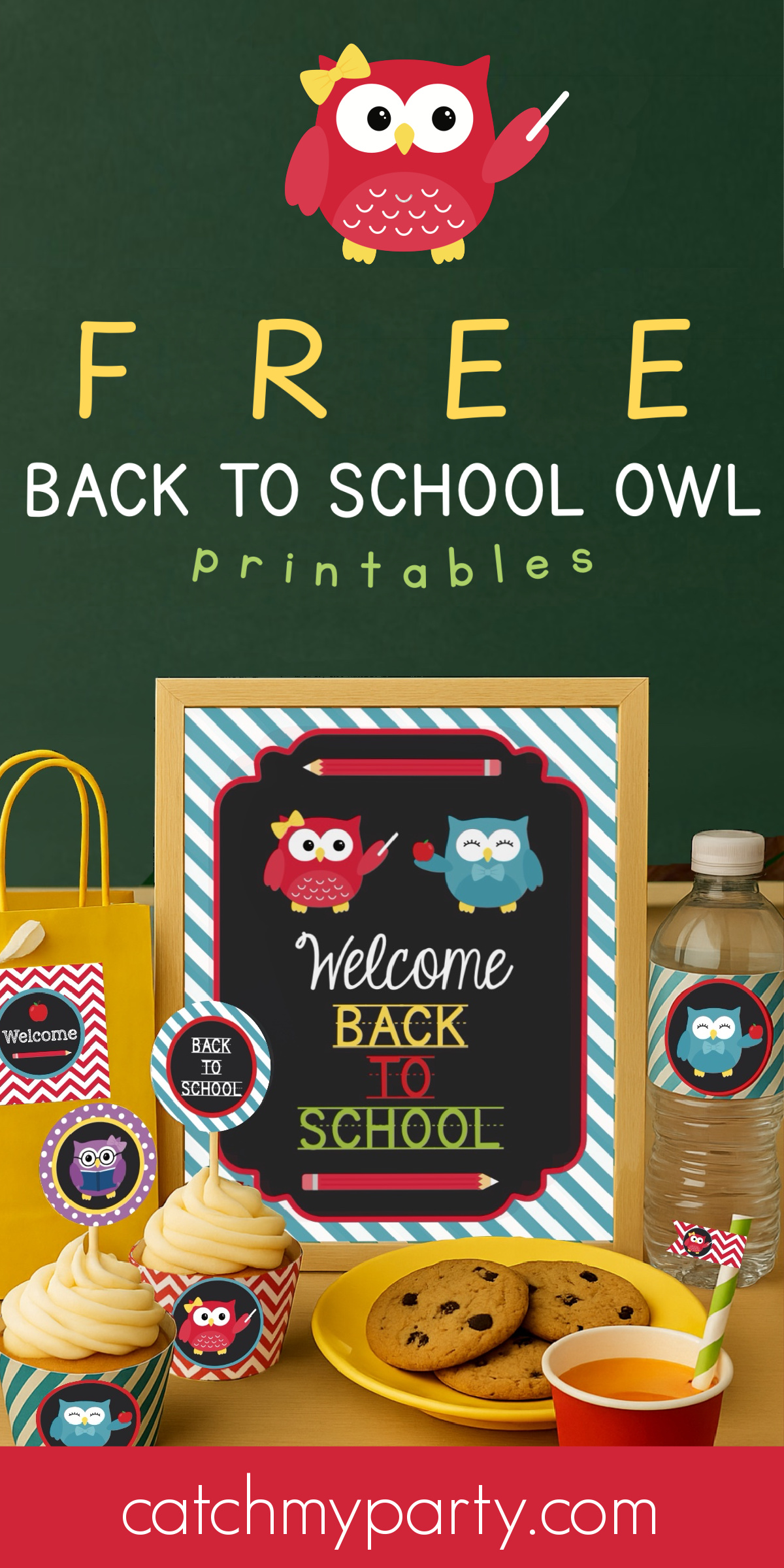 🦉 Free Owl Back-to-School Printables for Parties and Classrooms📚
