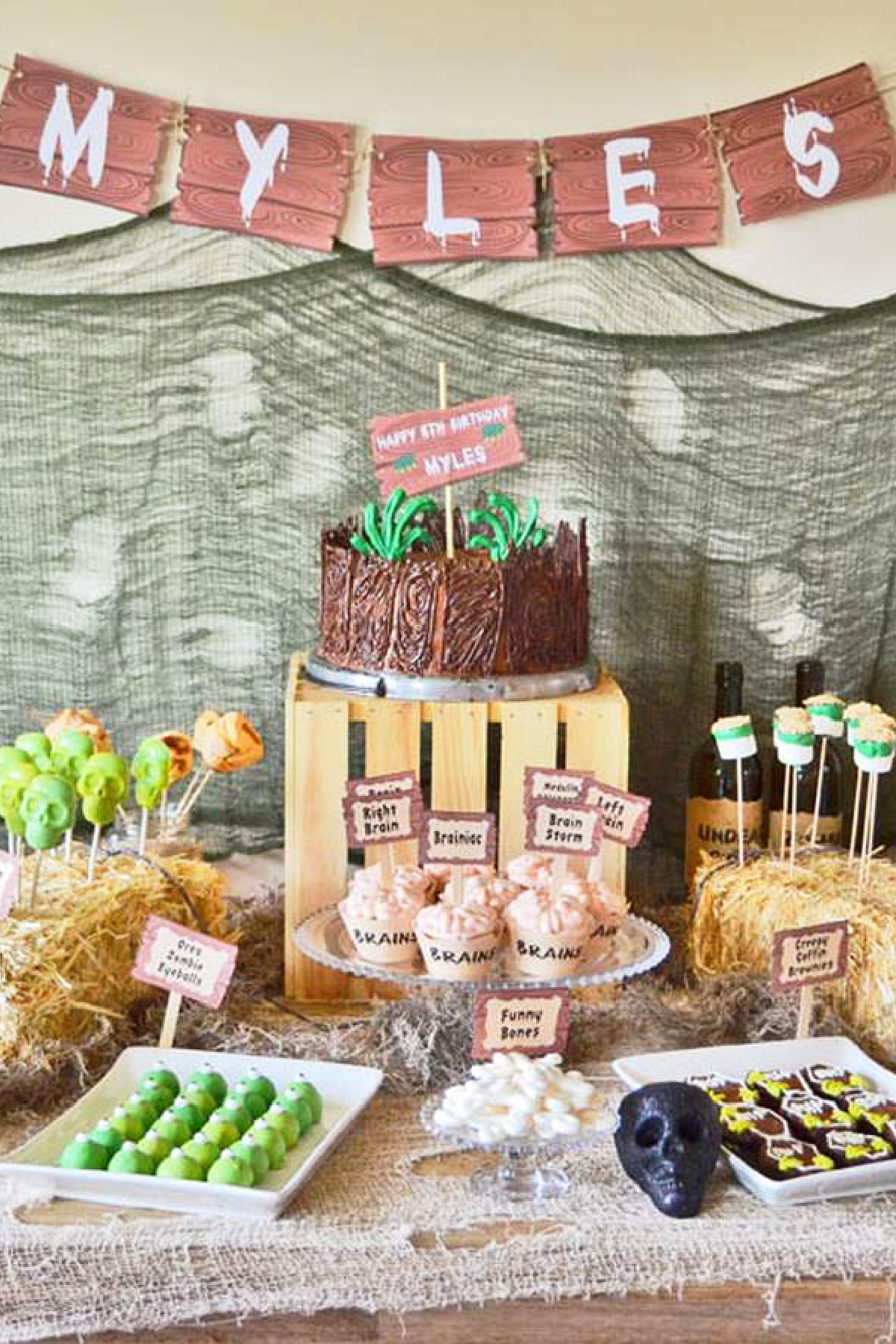 Zombie Apocalypse Birthday Party