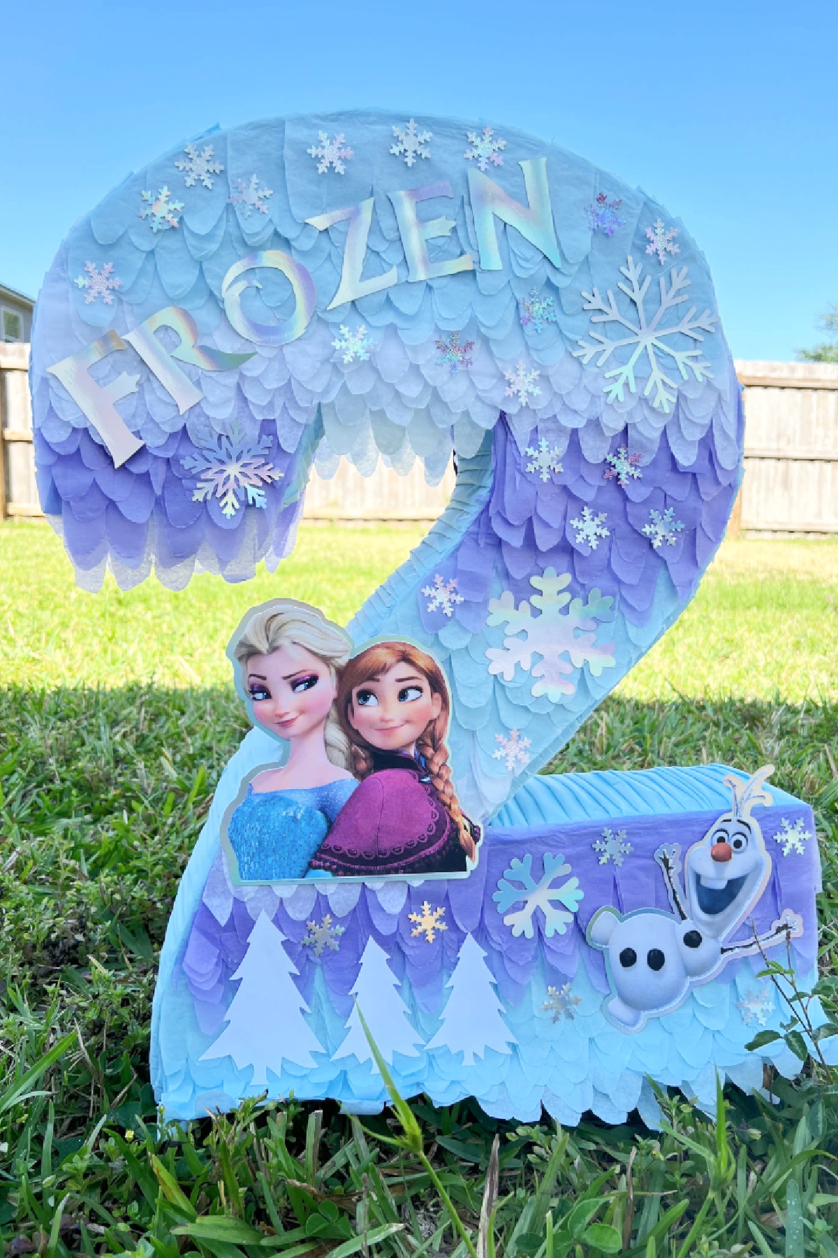 Frozen Pinata