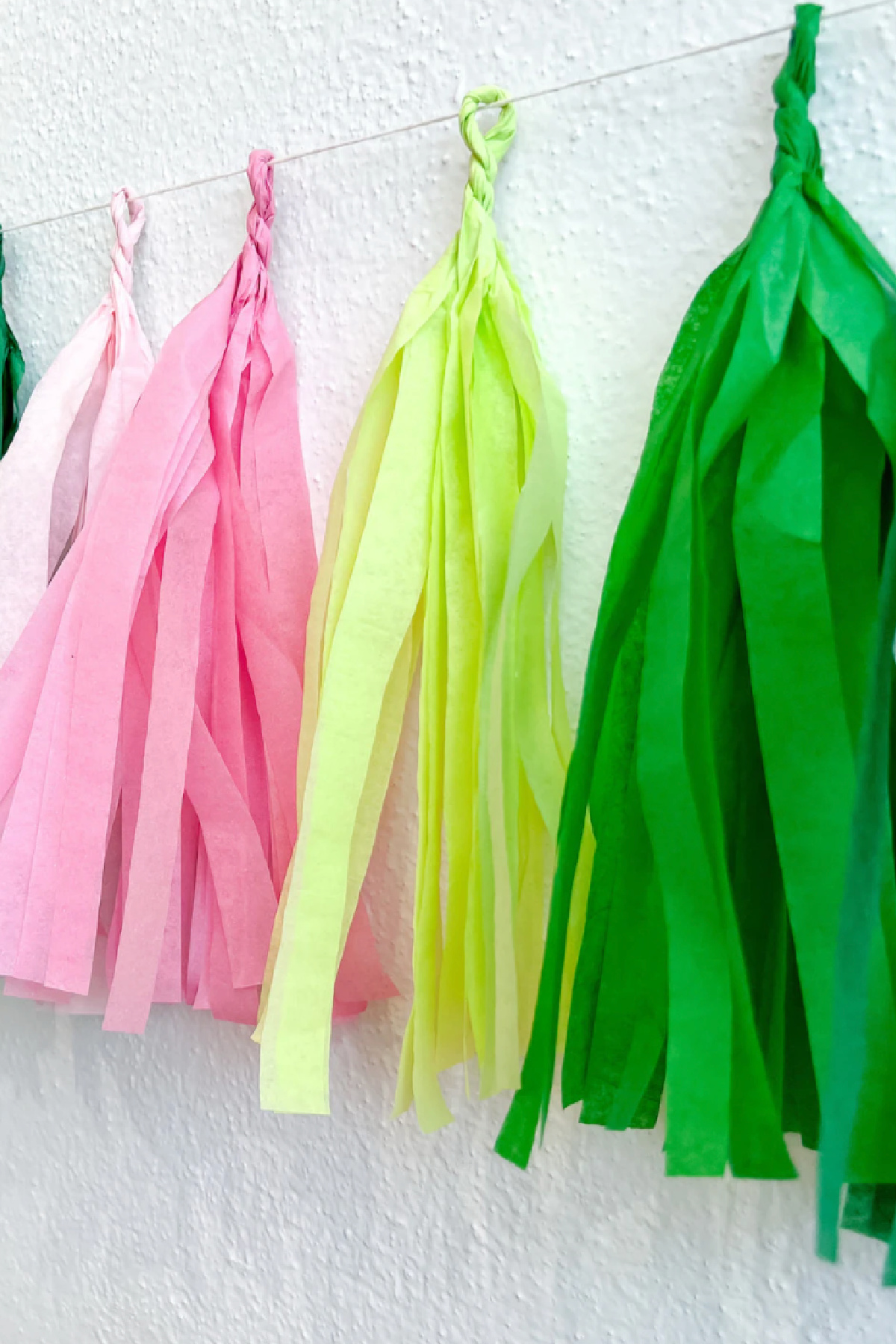 Pink and Green Tassel Garland