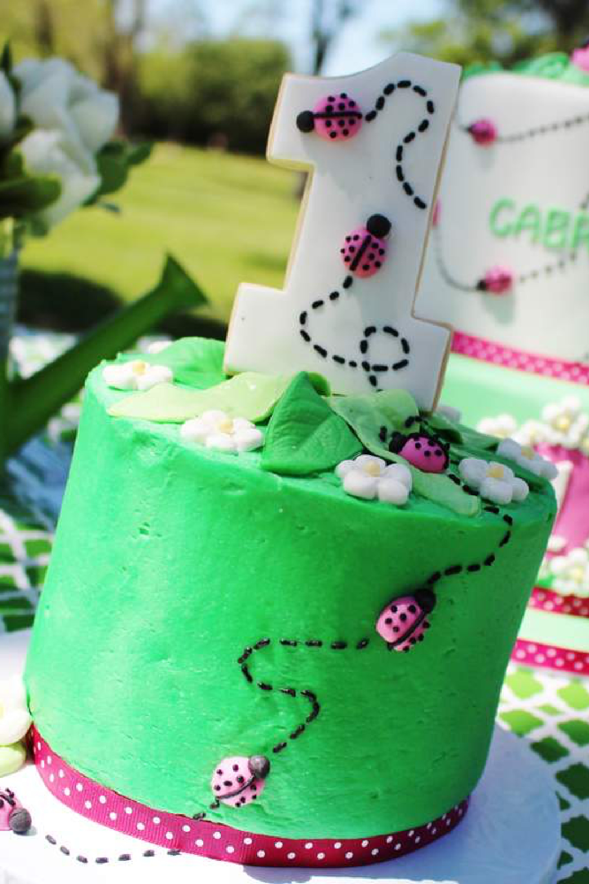 Ladybug 1st Birthday Cake for Girls Ladybug 1st Birthday Cake for Girls