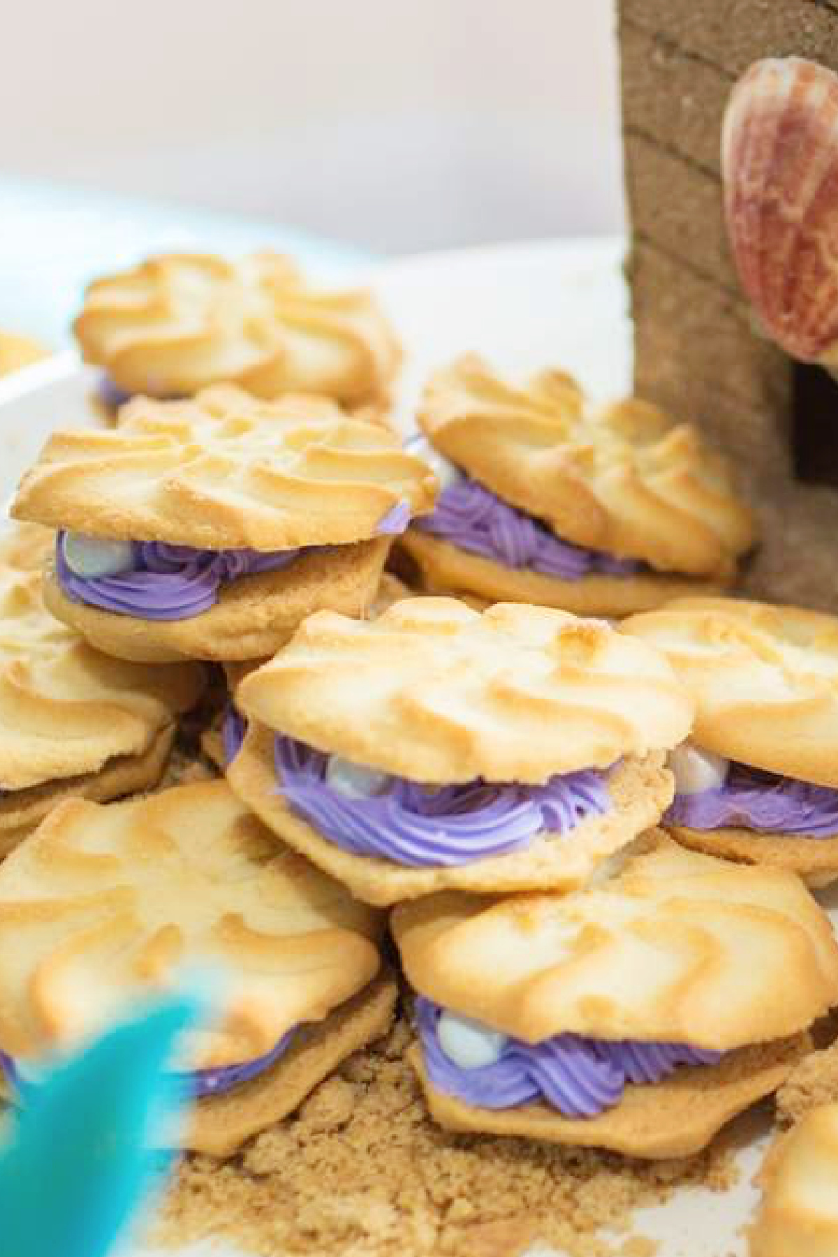 Clam Shell Cookies Clam Shell Cookies